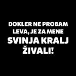 Dokler ne probam leva predpasnik - slika 2